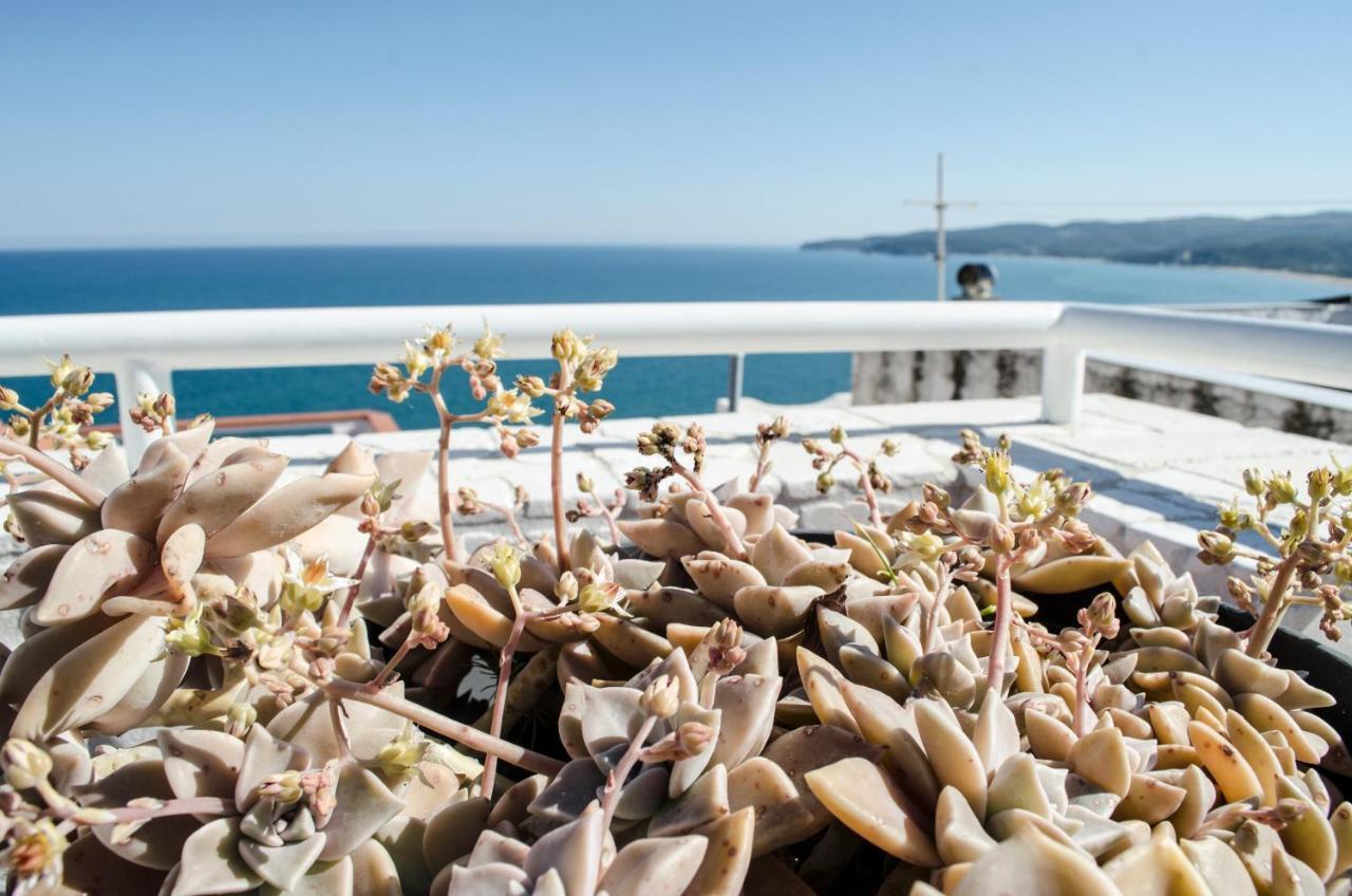 Appartamento La casa del geko Vieste Esterno foto